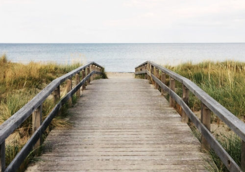 The best things in life are free… or are they? The best things in life are free… or are they?