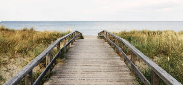 The best things in life are free… or are they? choosing-the-best-solution